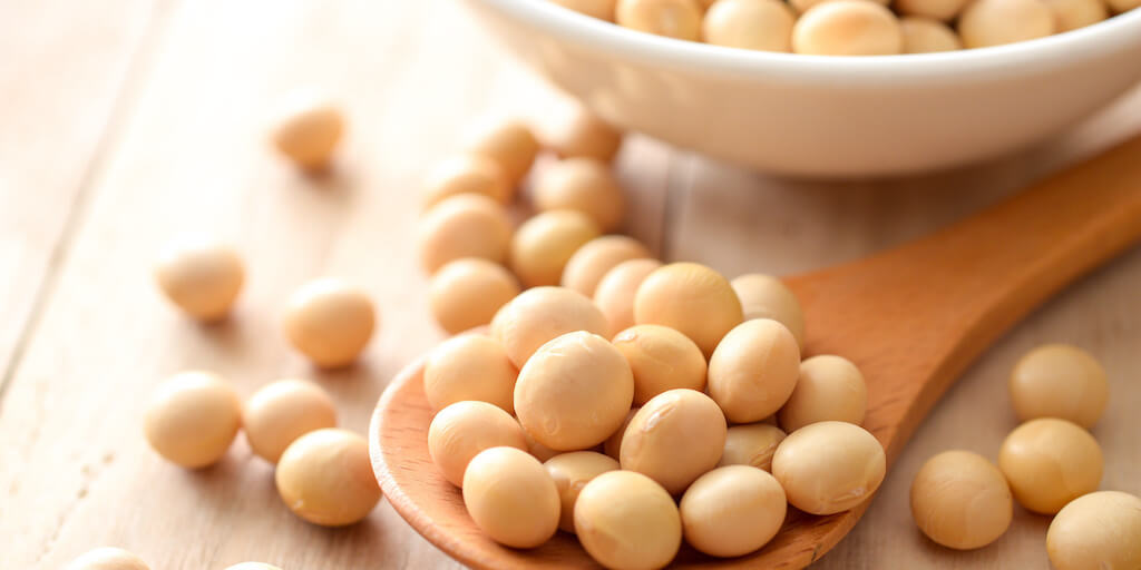 新たな和食の歴史の創造