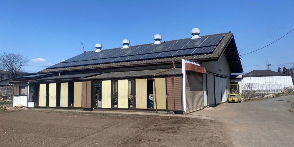 こんにゃく育成作業場